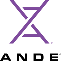 ANDE_Logo