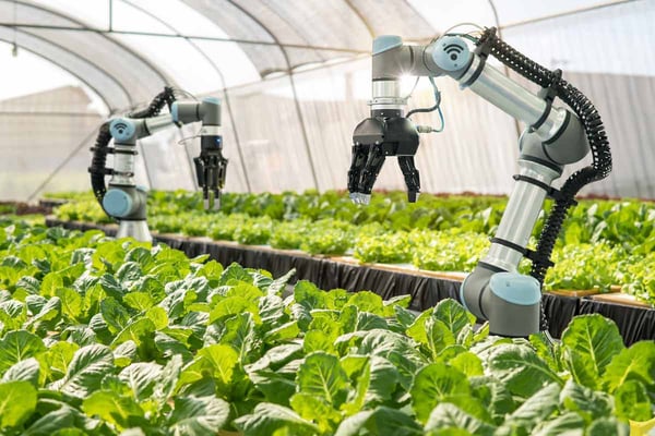 Agriculture Robot Watering Plants