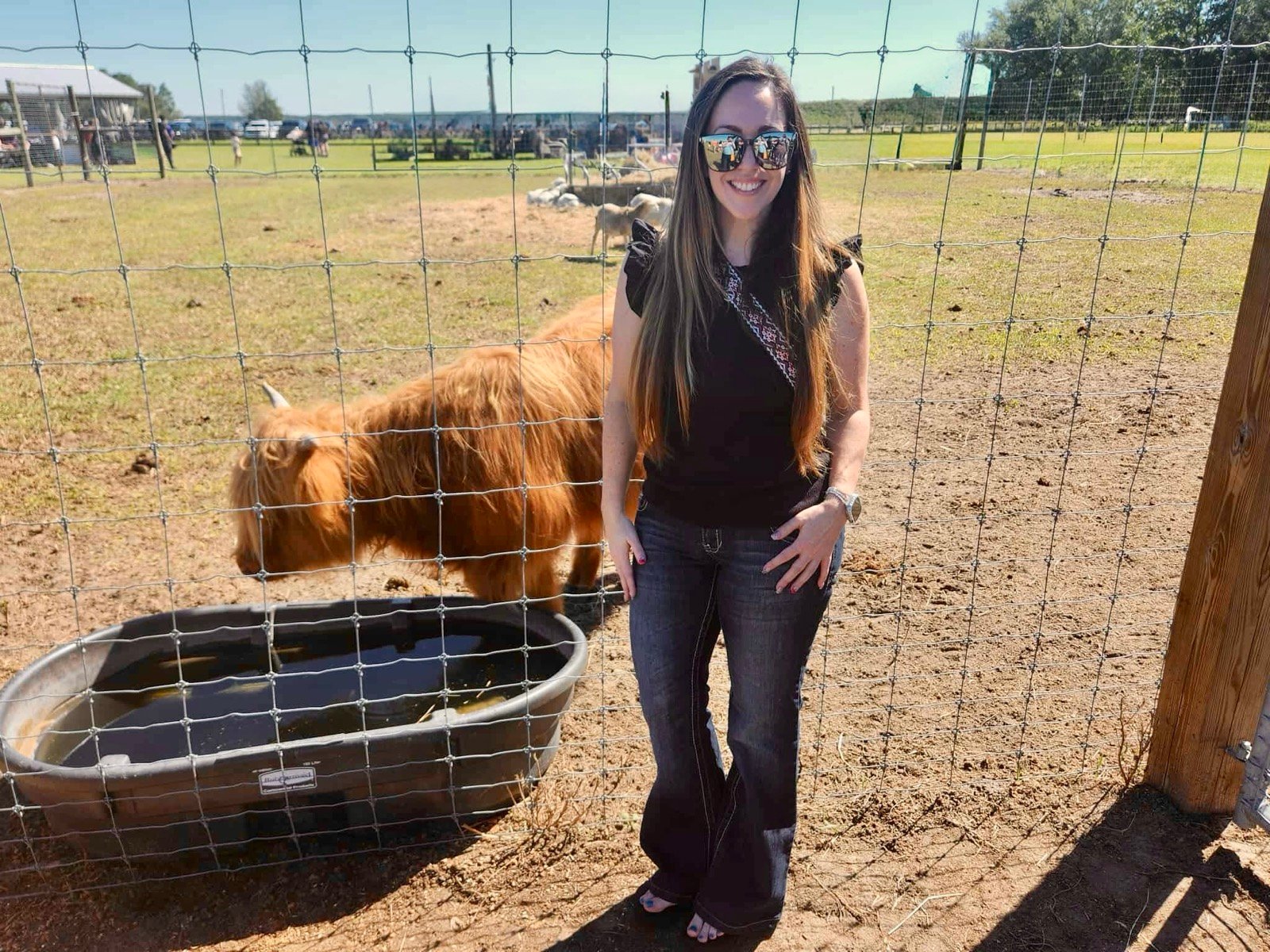 Carly with Highland Cow