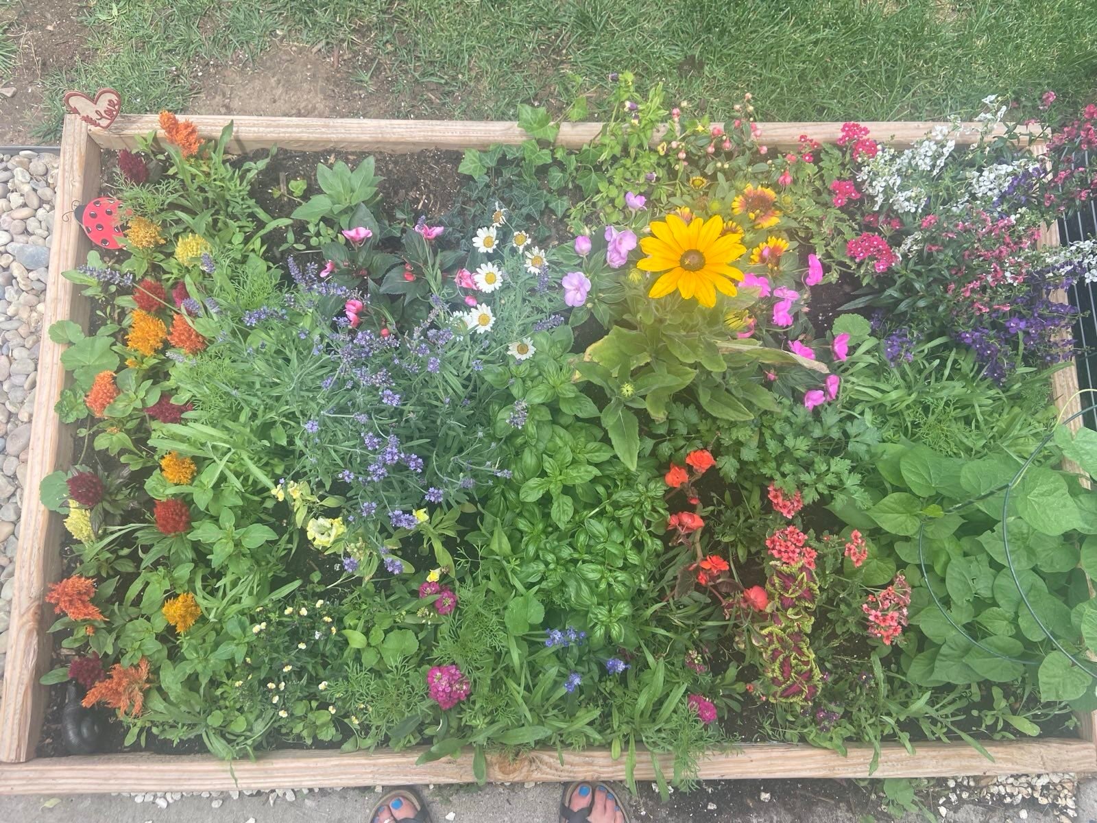 ElizabethGarden