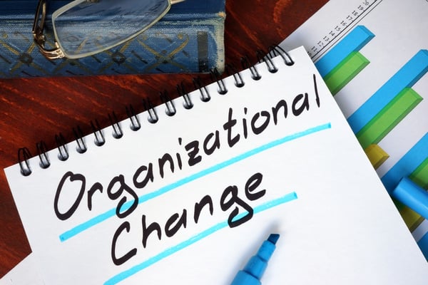 Organizational Change Management and ERP Success