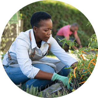 horticulture1