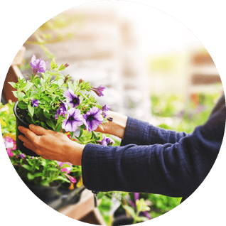 horticulture2