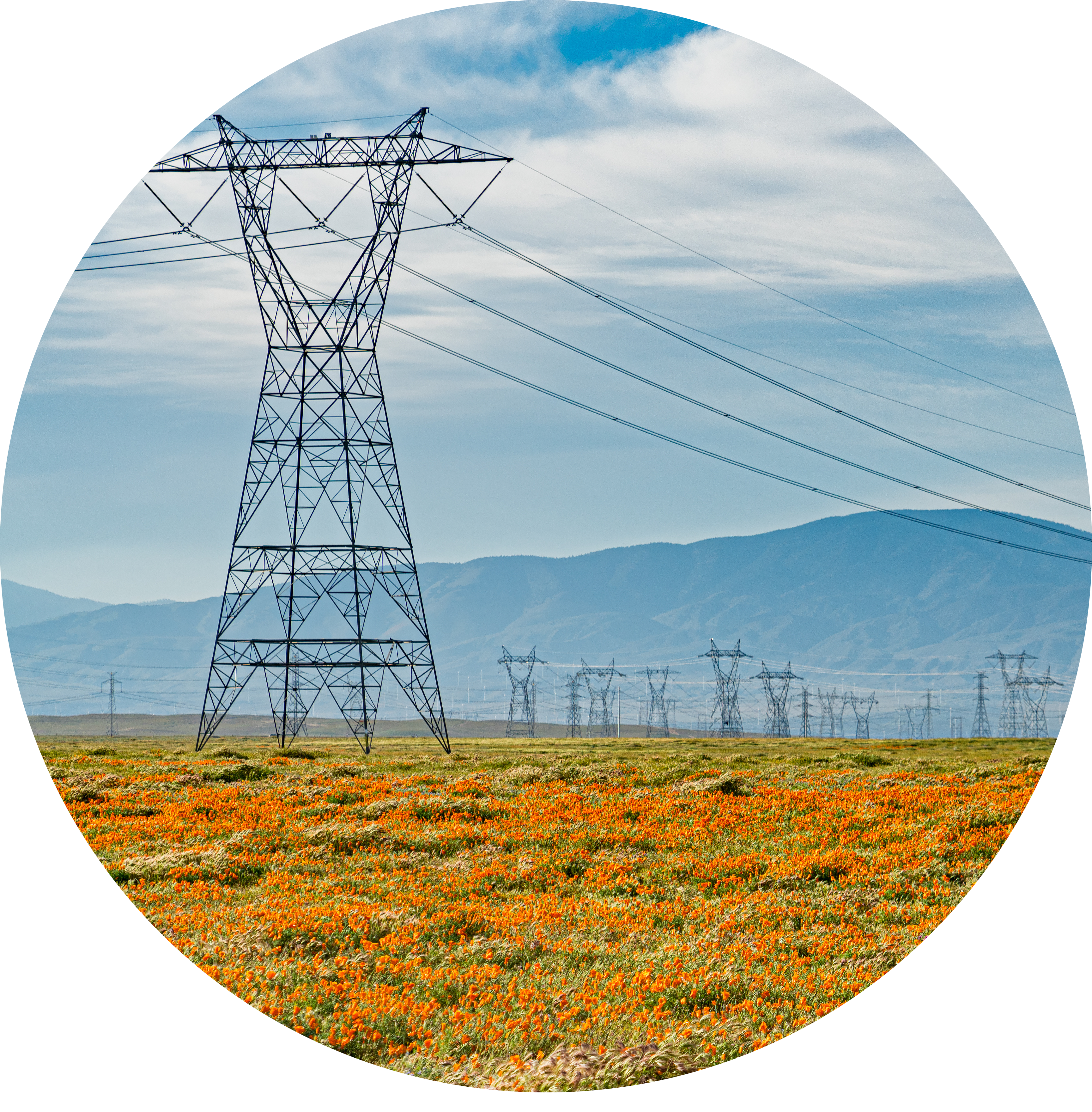 AdobeStock_345463280