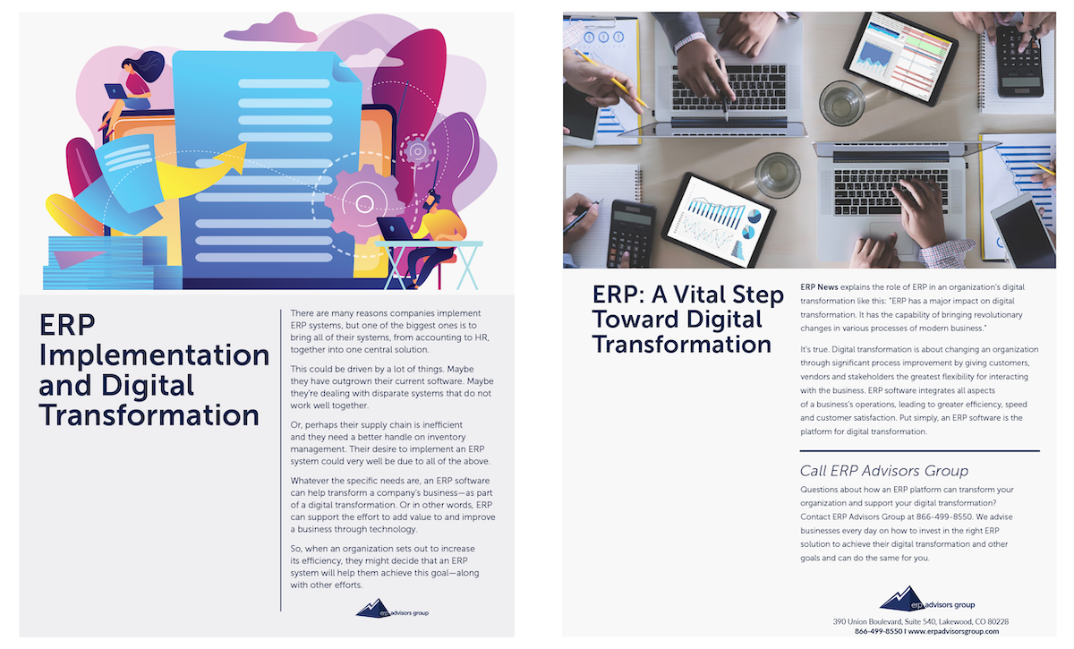 ERP Implementation and Digital Implementation Preview-1