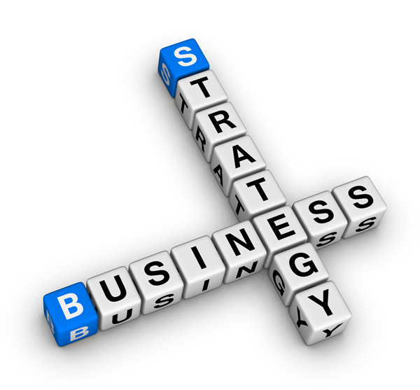 ERP Business Strategy