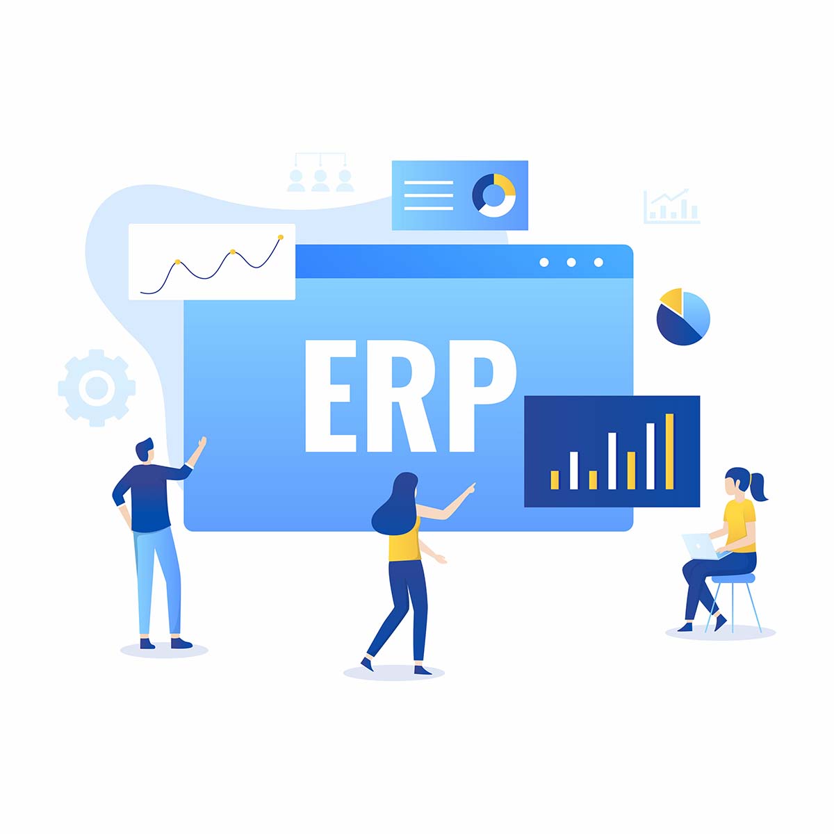 ERP System Implementation Phases