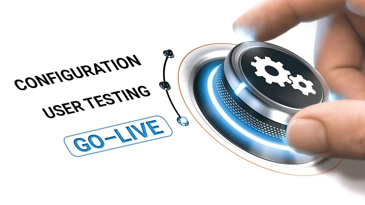 erp-implementation-go-live