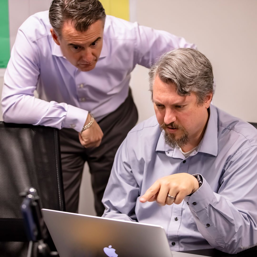 Pair of expert ERP Consultants 